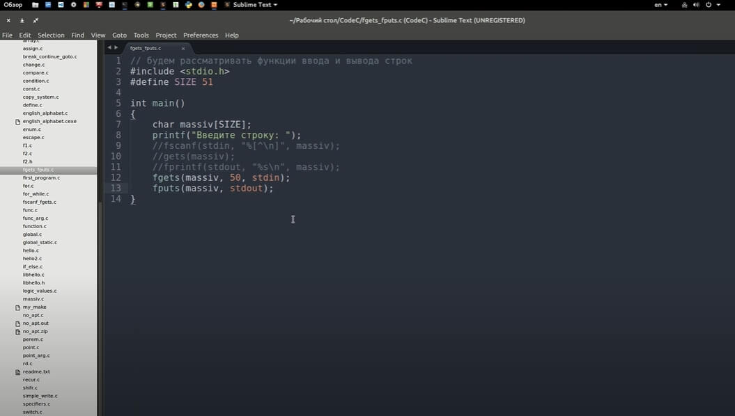 На фото изображено окно программы Sublime text.