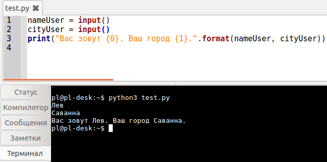 Функции print() и input(): в Python