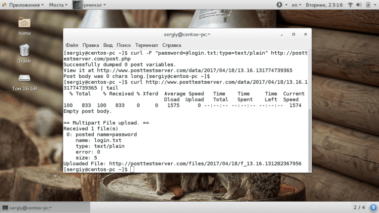 Технология Curl в linux