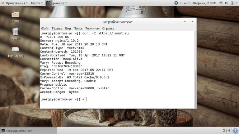 Технология Curl в linux