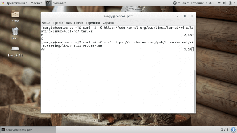 Технология Curl в linux