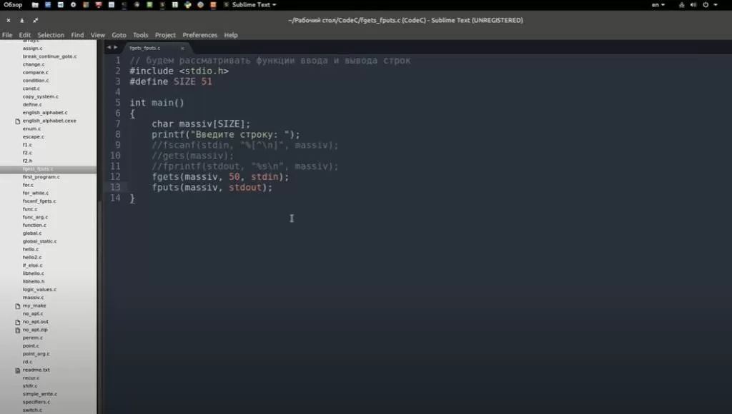 На фото изображено окно программы Sublime text.