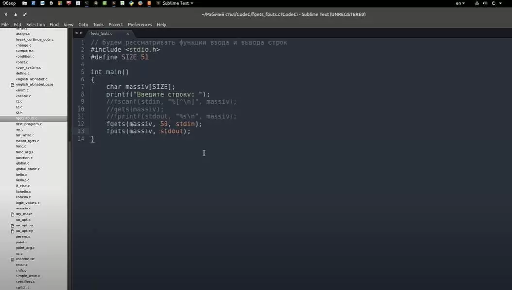 На фото изображено окно программы Sublime text.